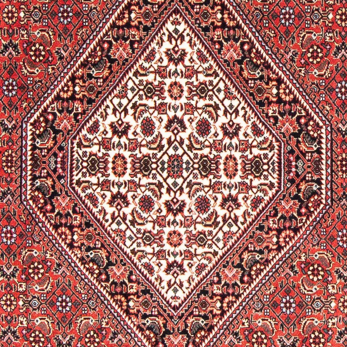 Tappeto Persero - Bidjar - 175 x 108 cm - rosso