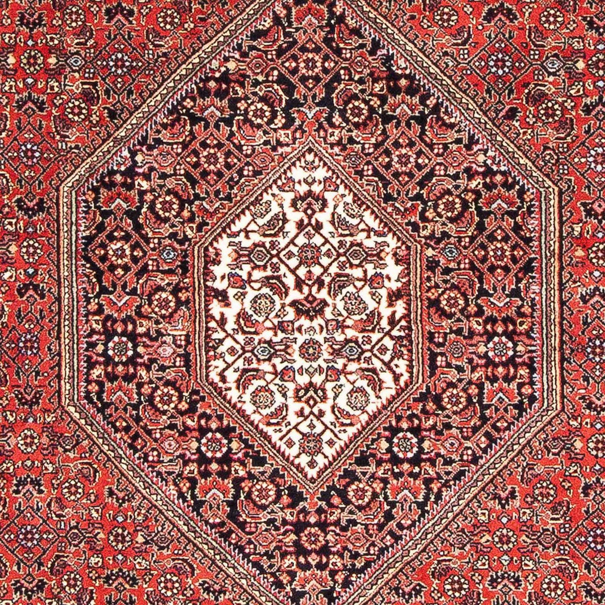 Tappeto Persero - Bidjar - 170 x 110 cm - rosso
