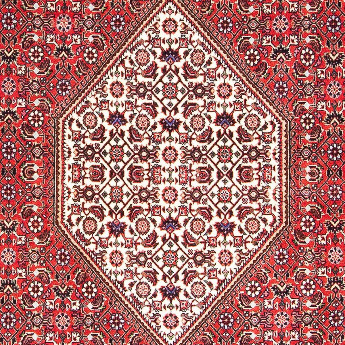 Tappeto Persero - Bidjar - 175 x 108 cm - rosso