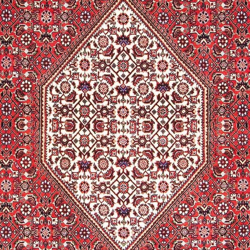 Tappeto Persero - Bidjar - 175 x 108 cm - rosso