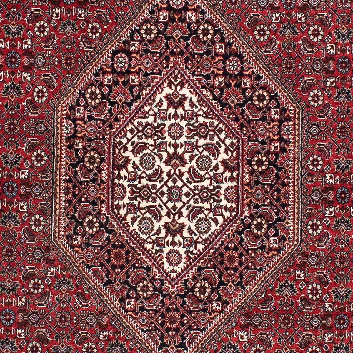 Tappeto Persero - Bidjar - 173 x 106 cm - rosso