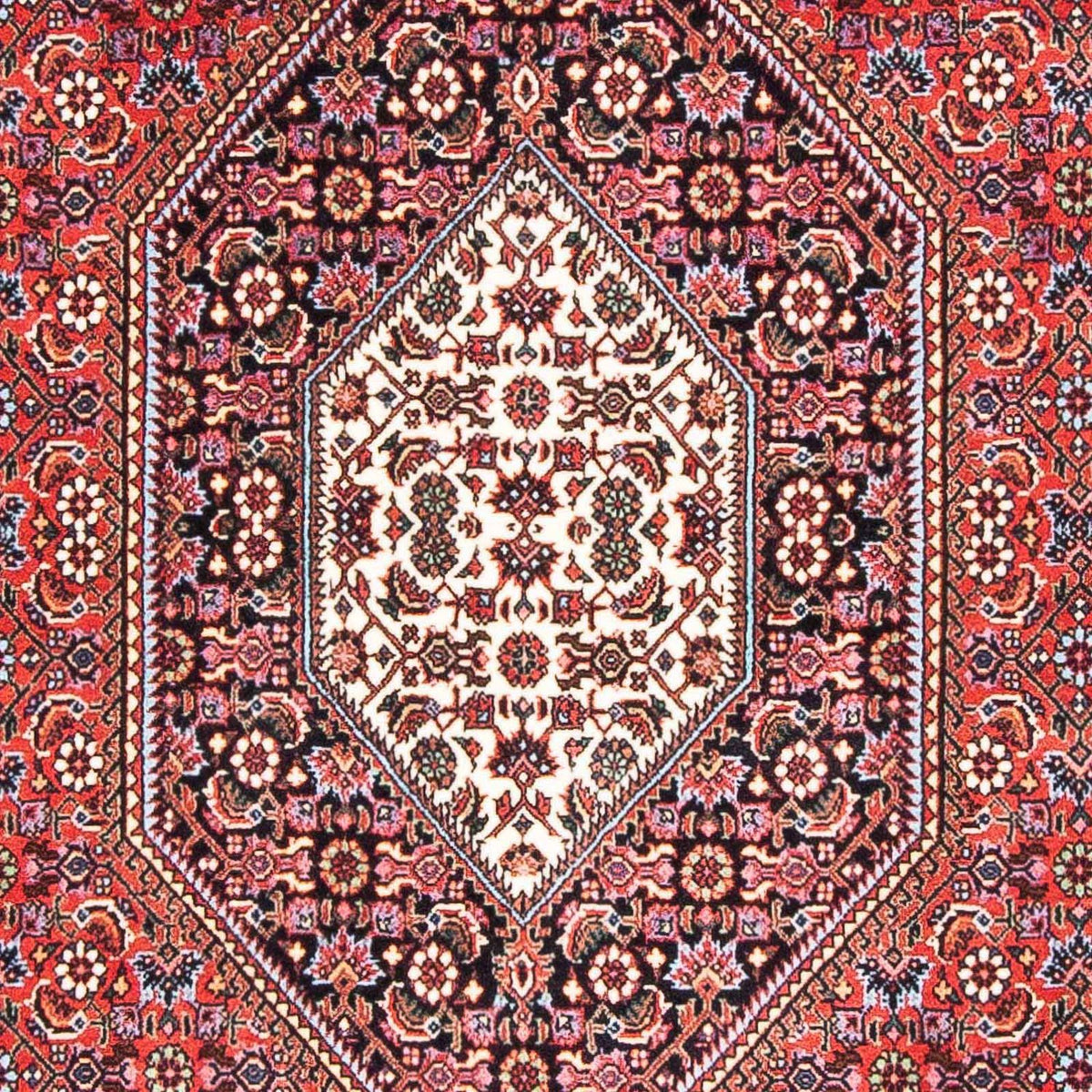 Tappeto Persero - Bidjar - 175 x 108 cm - rosso