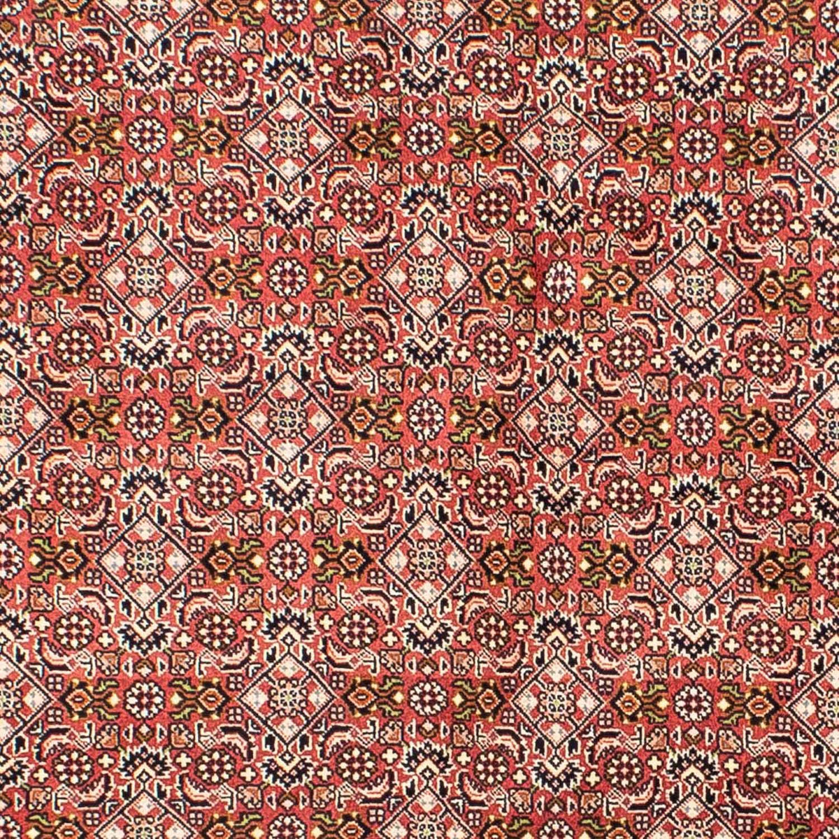 Tappeto Persero - Bidjar - 215 x 136 cm - rosso chiaro