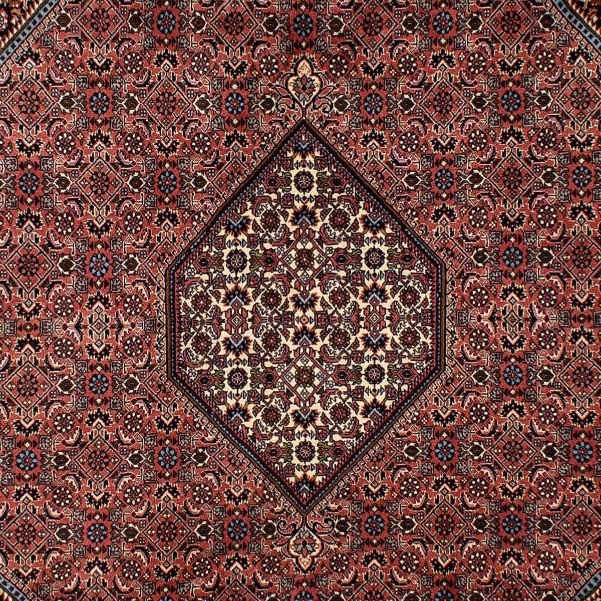 Tappeto Persero - Bidjar - 296 x 201 cm - marrone