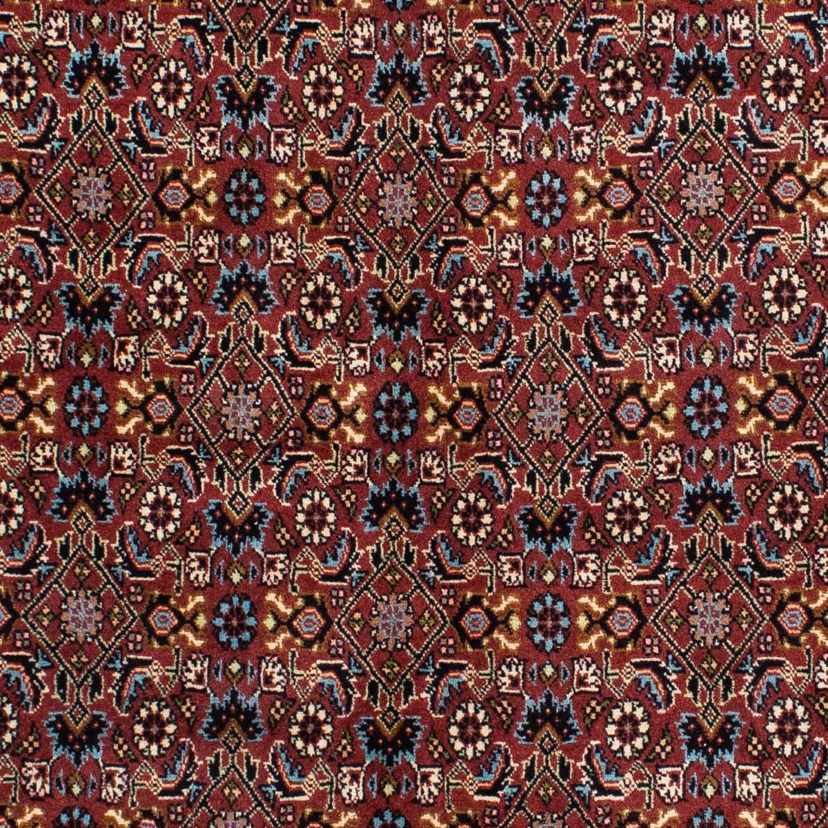 Tappeto Persero - Bidjar - 210 x 139 cm - rosso