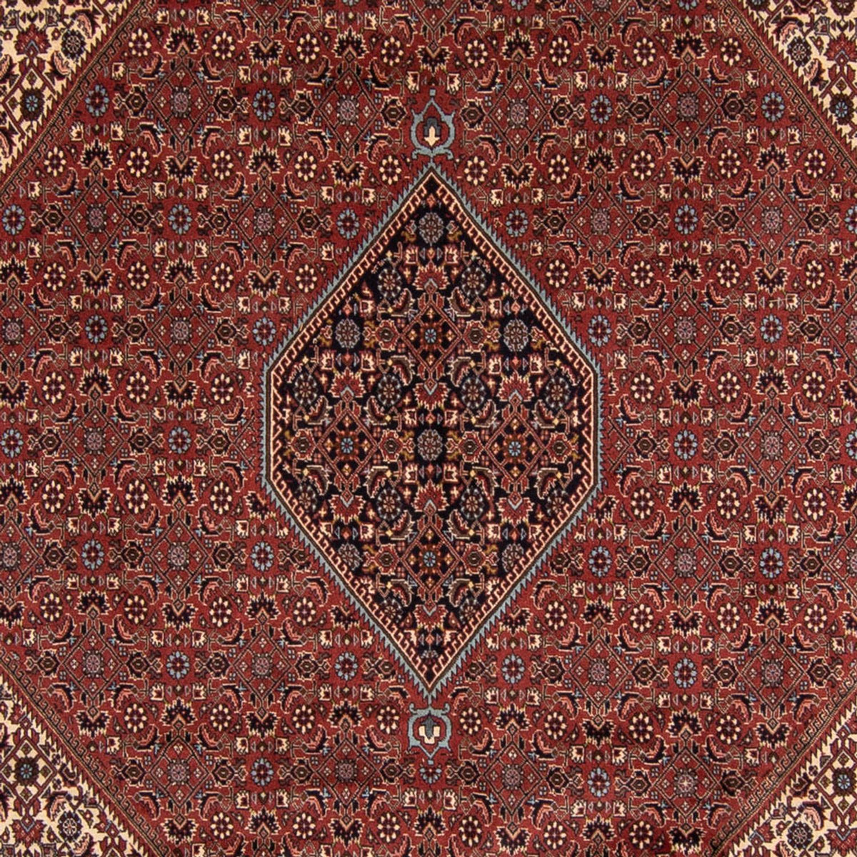 Tappeto Persero - Bidjar - 342 x 250 cm - marrone