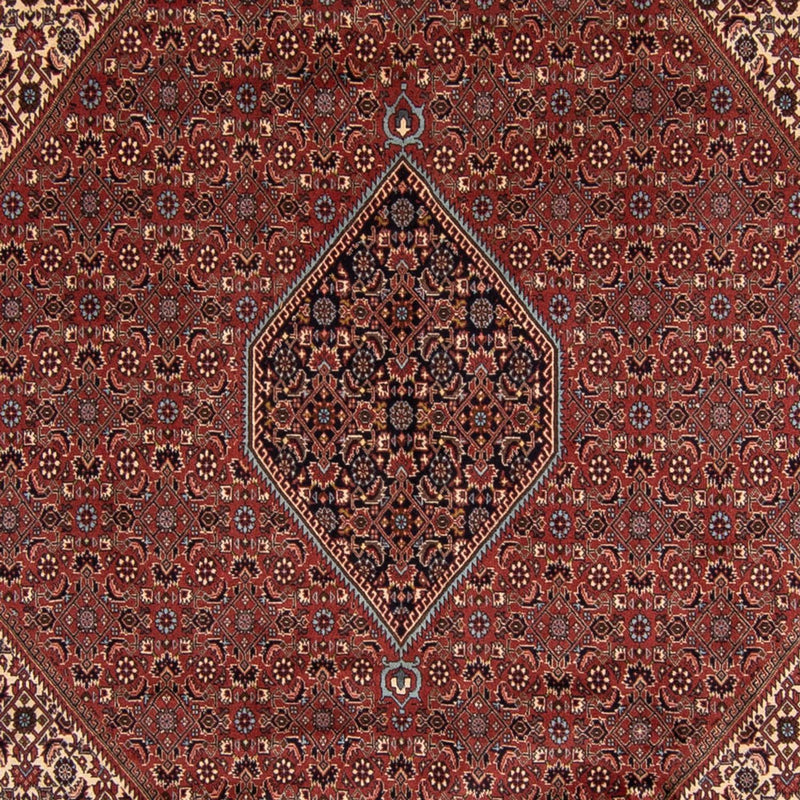 Tappeto Persero - Bidjar - 342 x 250 cm - marrone