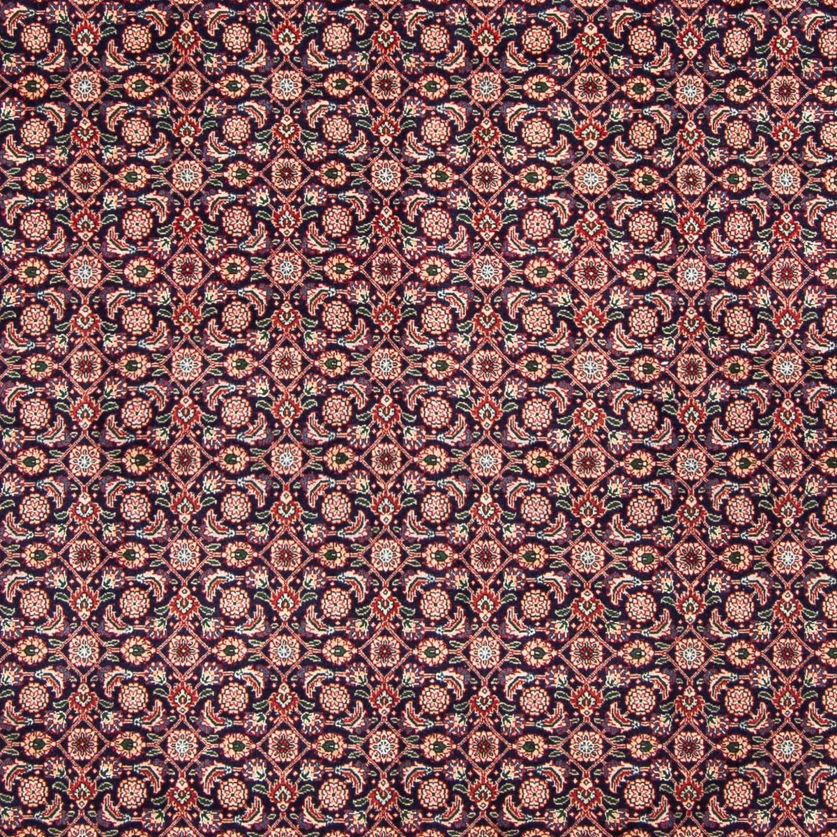 Tappeto Persero - Tabriz - 298 x 200 cm - blu scuro