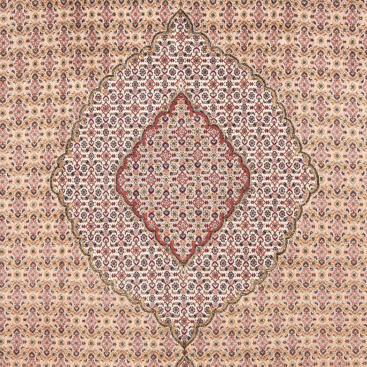 Tappeto Persero - Tabriz - 288 x 197 cm - marrone chiaro