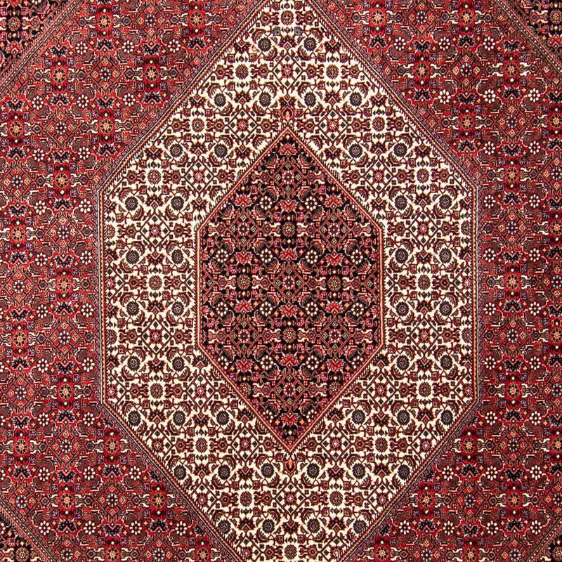 Tappeto Persero - Bidjar - 297 x 250 cm - rosso scuro