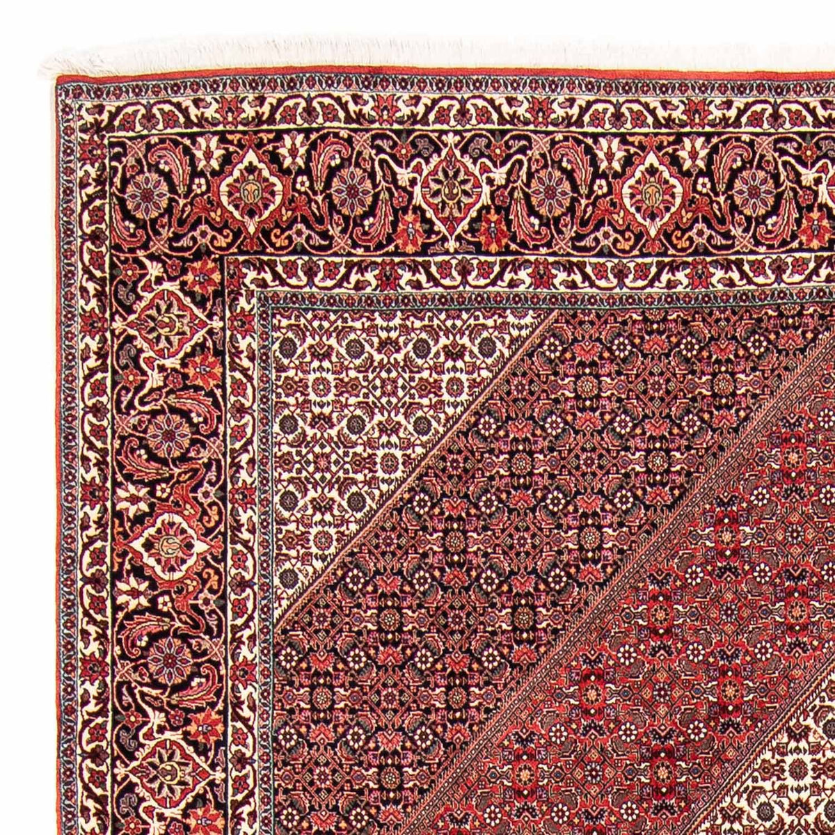 Tappeto Persero - Bidjar - 297 x 250 cm - rosso scuro