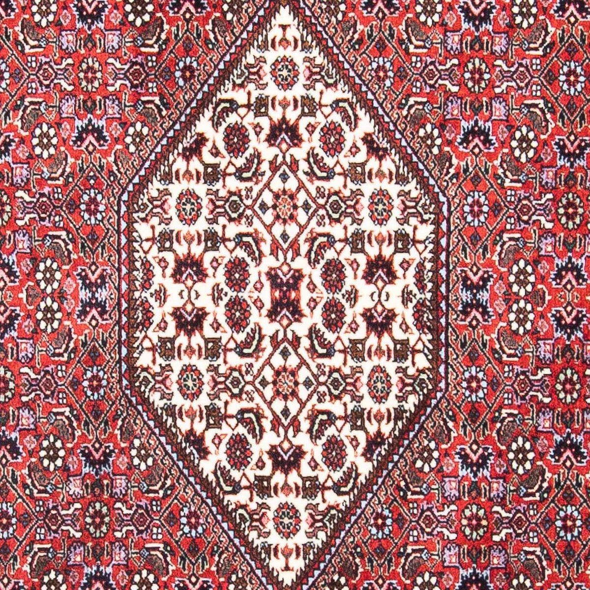 Tappeto Persero - Bidjar - 169 x 106 cm - rosso chiaro
