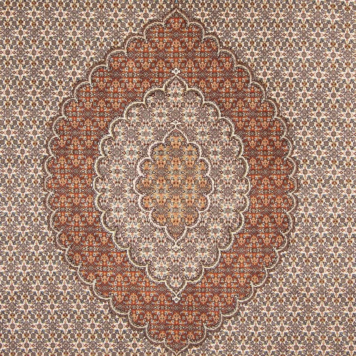 Tappeto Persero - Tabriz - 312 x 196 cm - marrone chiaro
