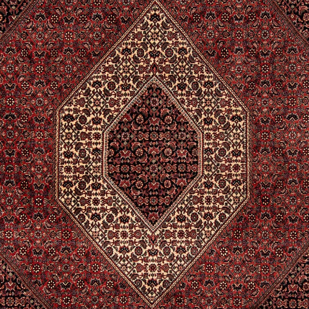 Tappeto Persero - Bidjar - 259 x 201 cm - rosso scuro
