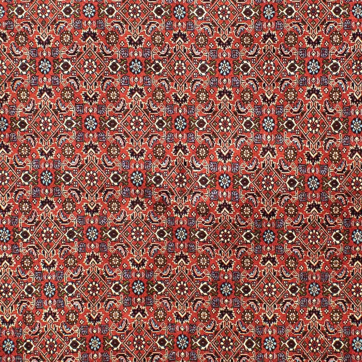 Tappeto Persero - Bidjar - 288 x 202 cm - rosso chiaro