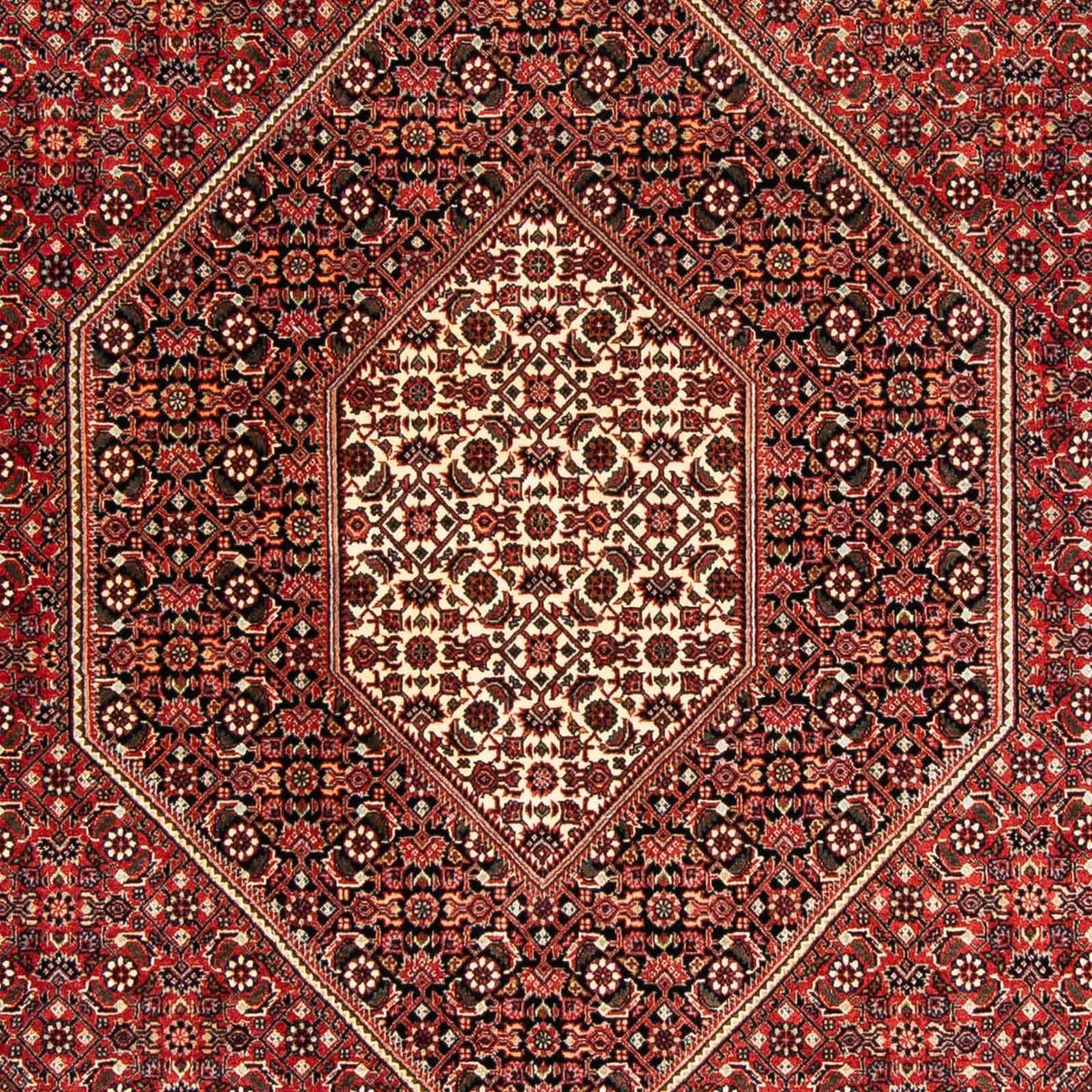 Tappeto Persero - Bidjar - 233 x 169 cm - rosso scuro