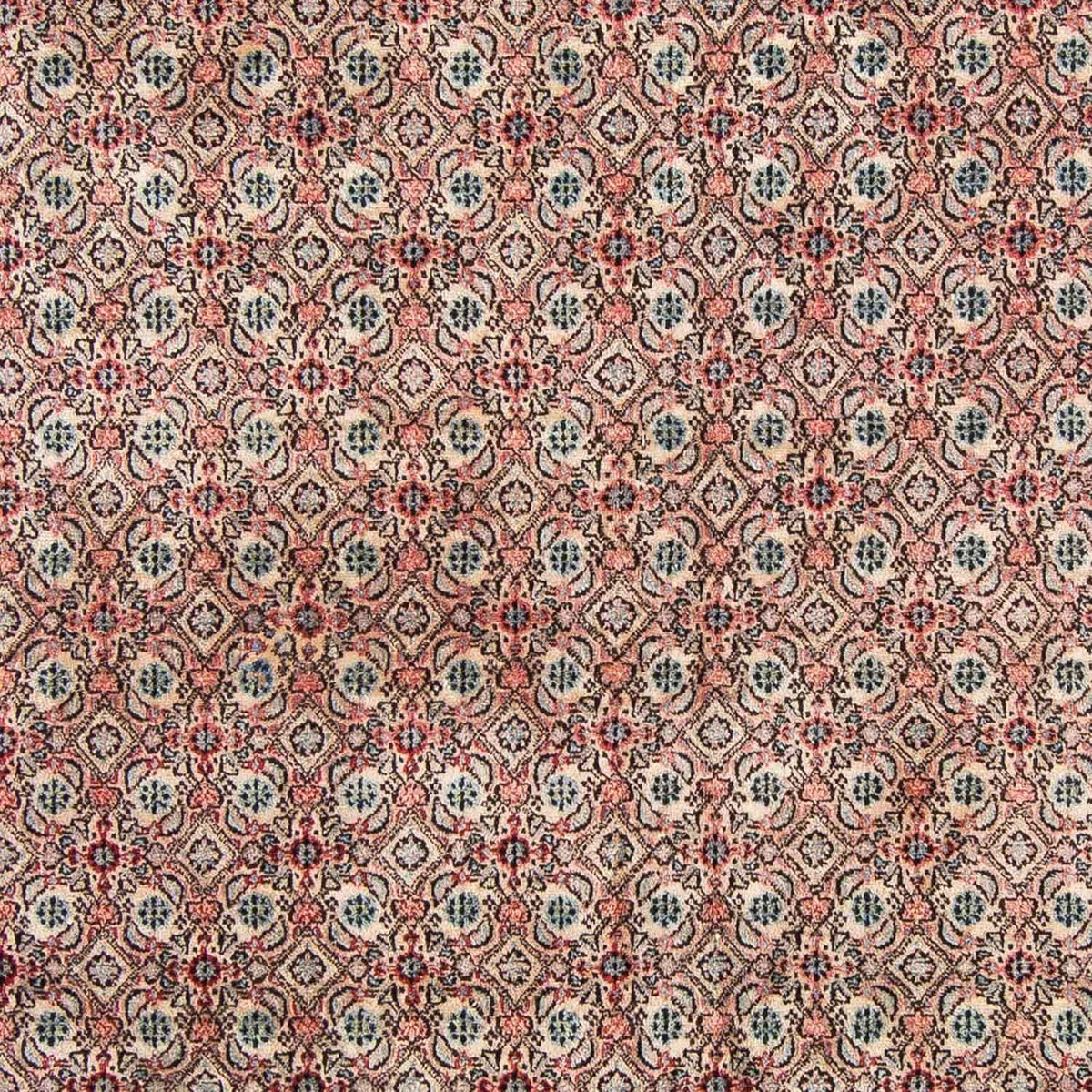 Tappeto Persero - Classico - 296 x 207 cm - rosso chiaro