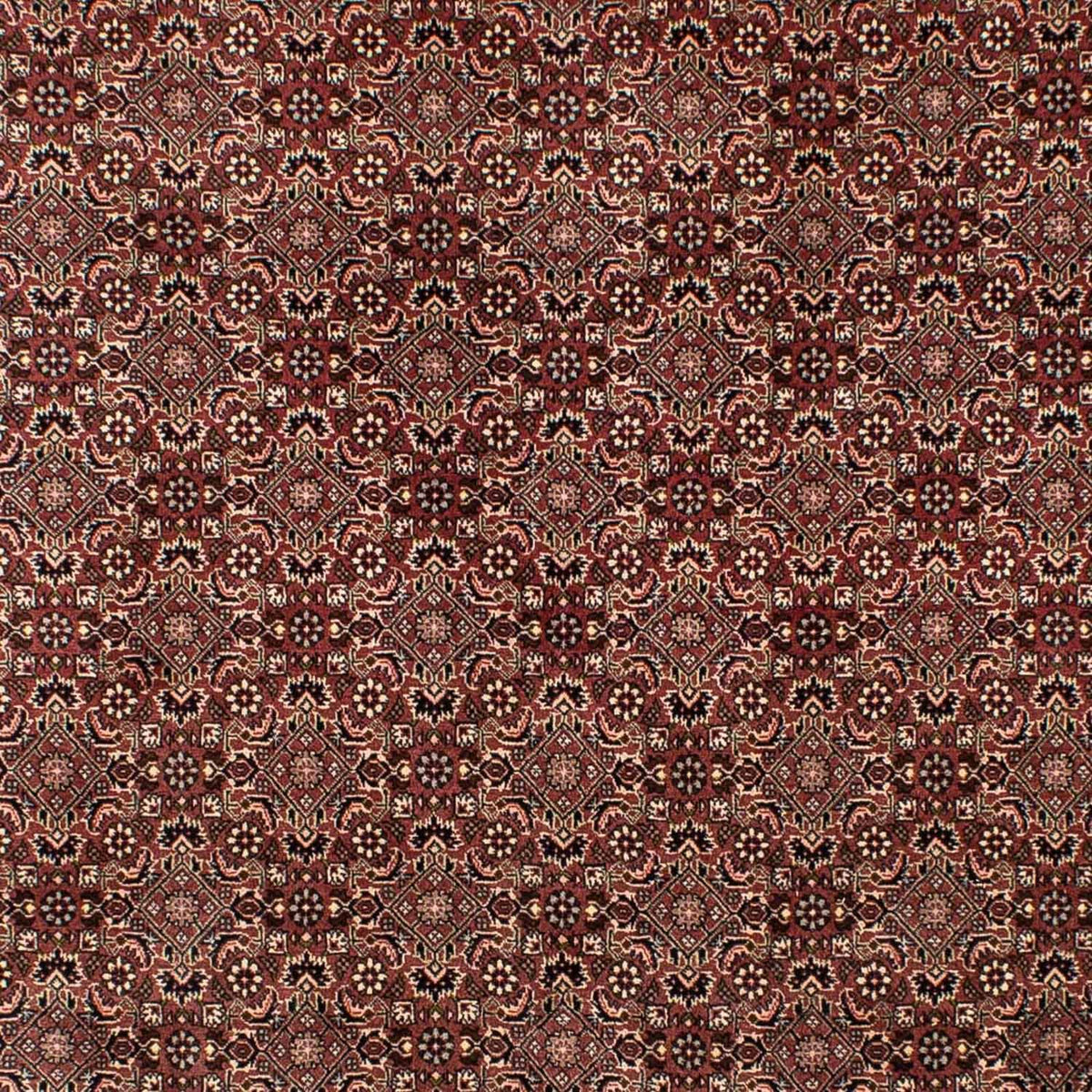 Tappeto Persero - Nomade - 307 x 192 cm - marrone