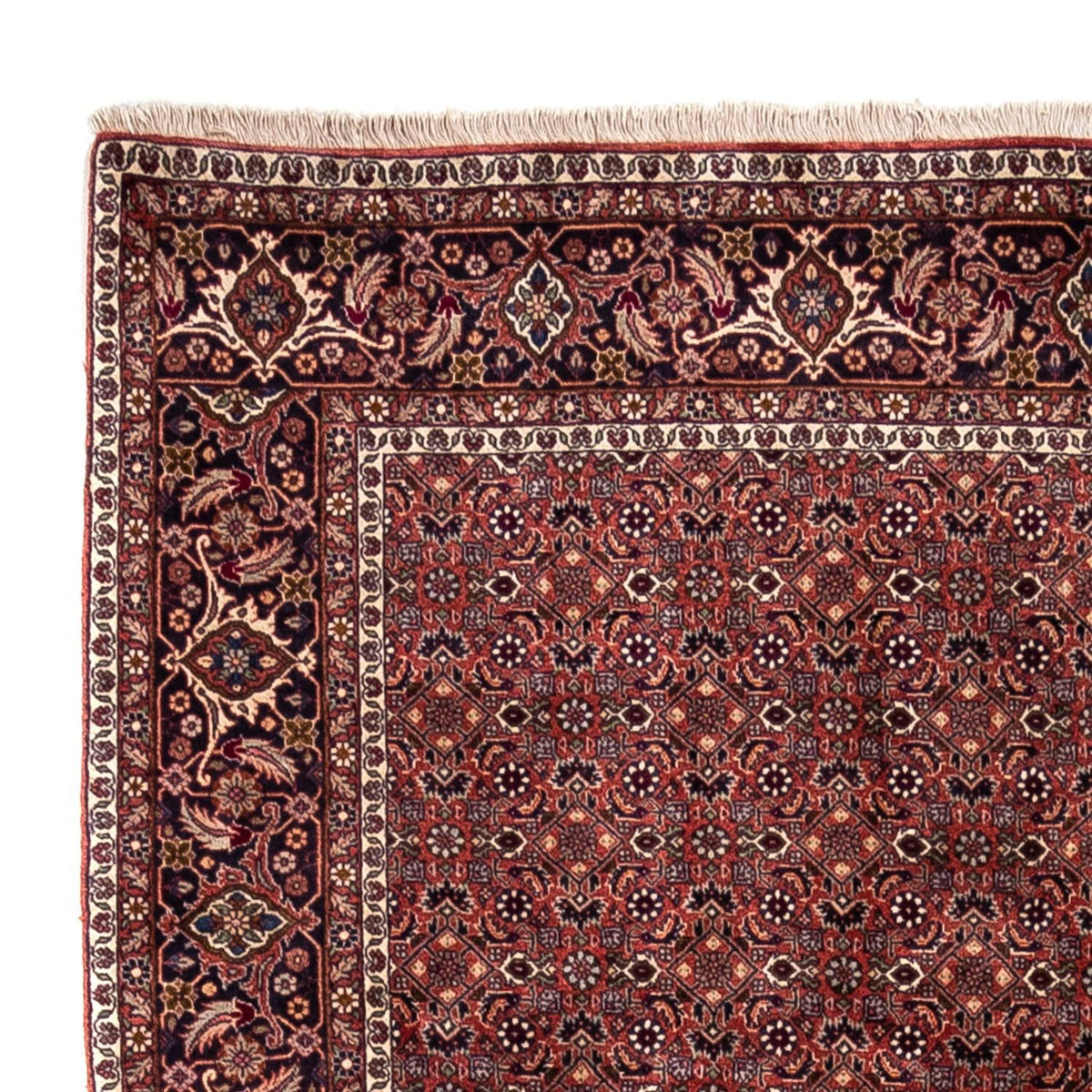 Tappeto Persero - Bidjar - 293 x 200 cm - rosso