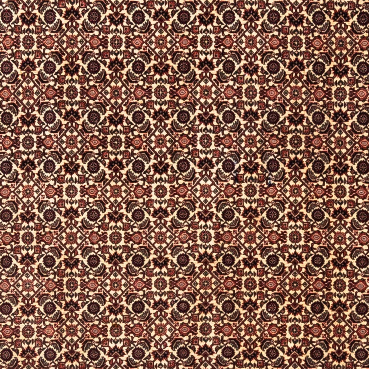 Tappeto Persero - Bidjar - 287 x 208 cm - beige