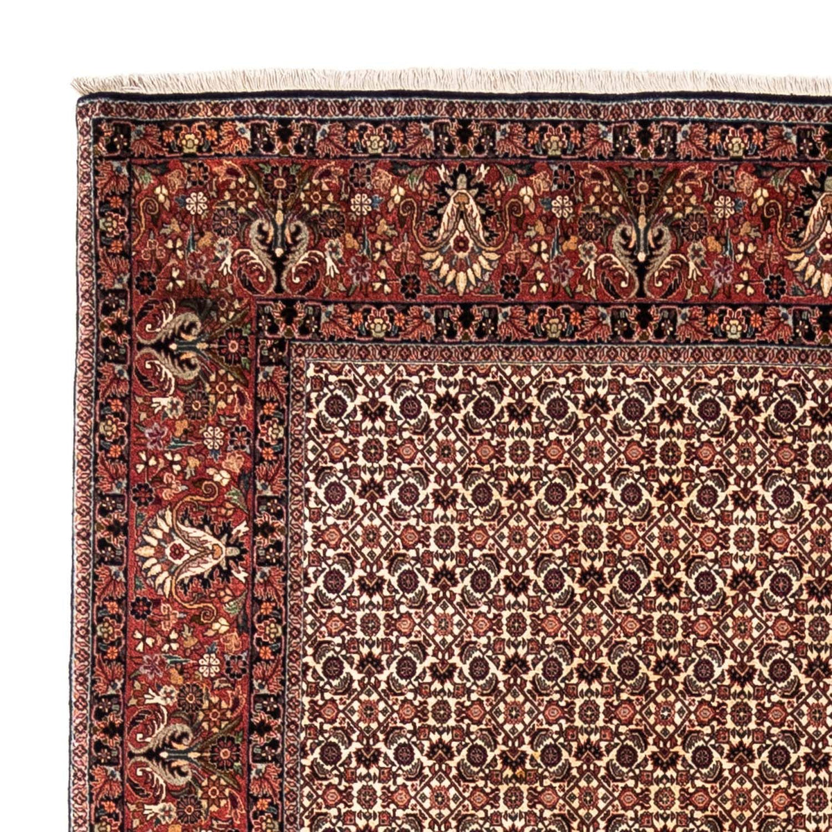 Tappeto Persero - Bidjar - 287 x 208 cm - beige