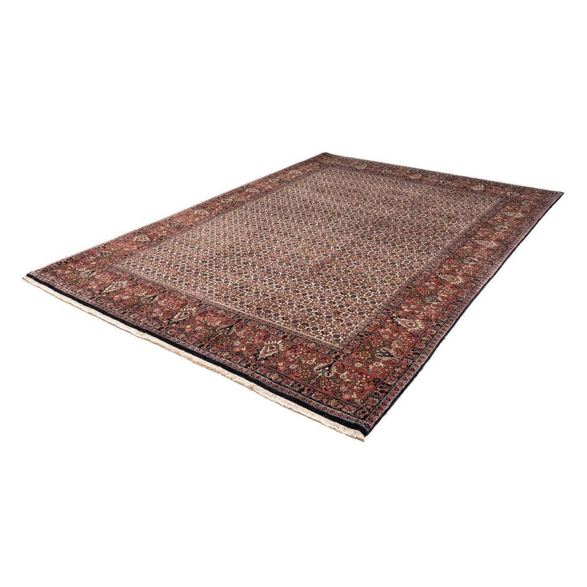 Tappeto Persero - Bidjar - 287 x 208 cm - beige