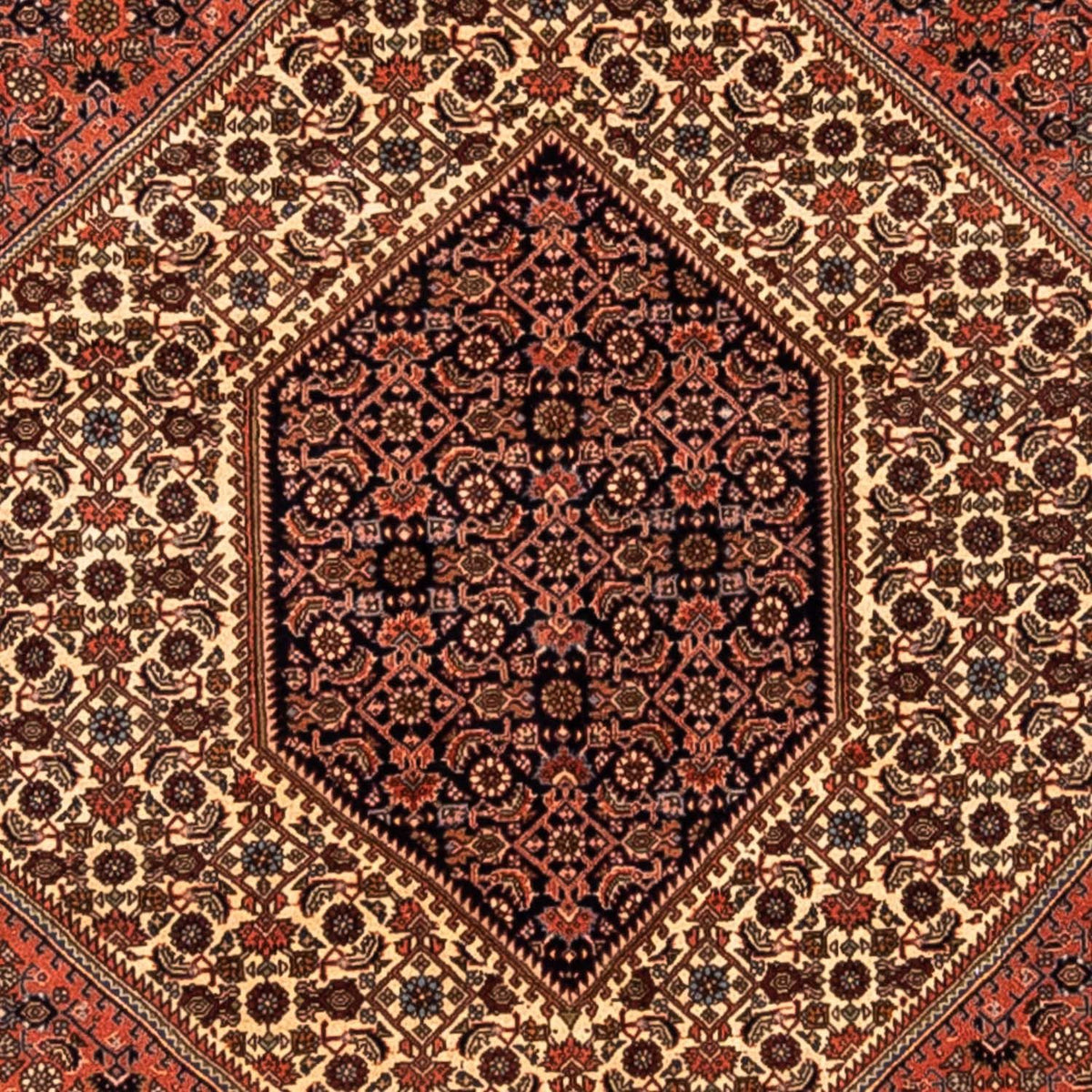 Tappeto Persero - Bidjar - 291 x 202 cm - ruggine