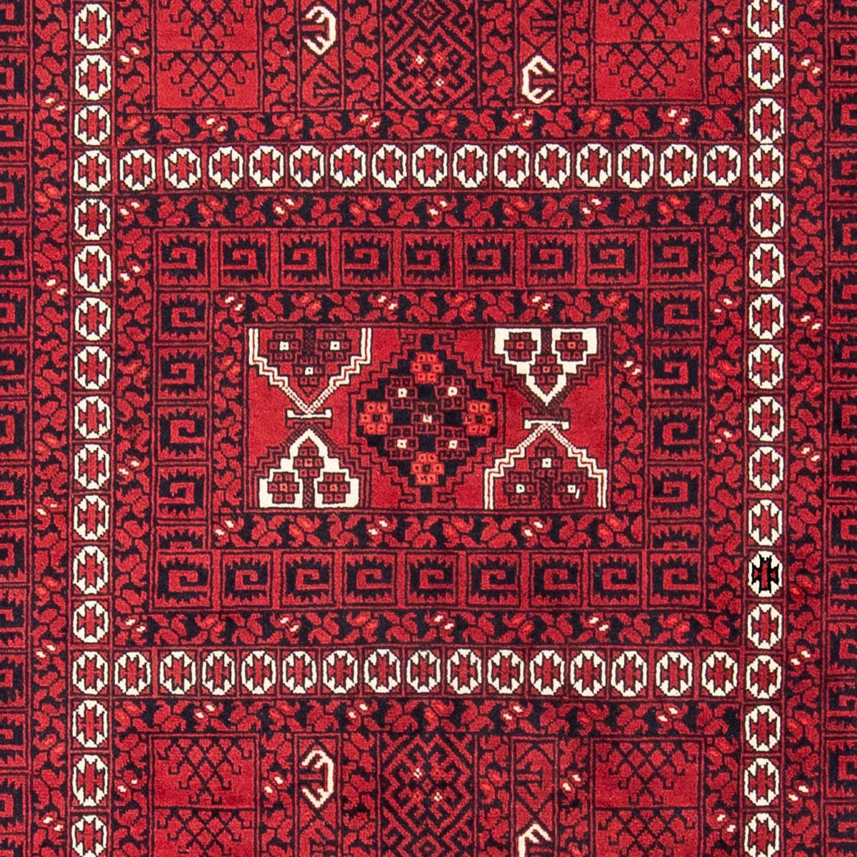 Tappeto Turkaman - 246 x 159 cm - rosso scuro