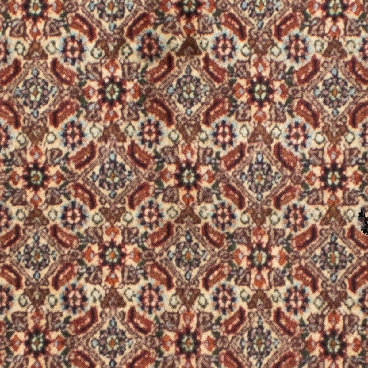Tappeto corsia Tappeto Persero - Classico - 246 x 80 cm - beige