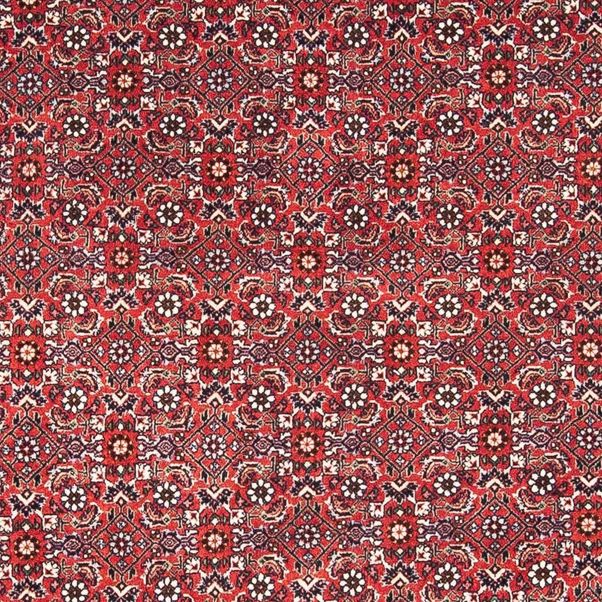 Tappeto Persero - Bidjar - 174 x 111 cm - rosso