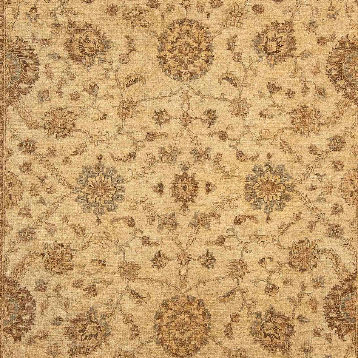 Tappeto Ziegler - 323 x 244 cm - marrone chiaro