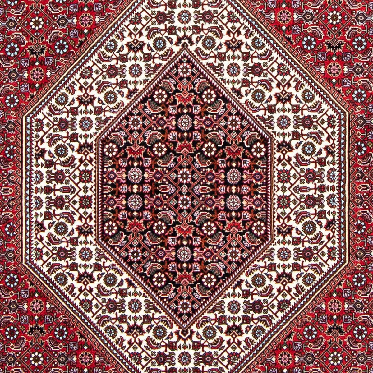 Tappeto Persero - Bidjar - 250 x 149 cm - rosso