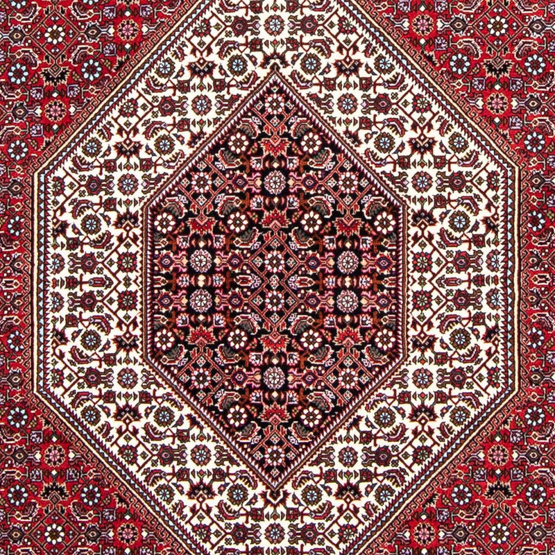 Tappeto Persero - Bidjar - 250 x 149 cm - rosso