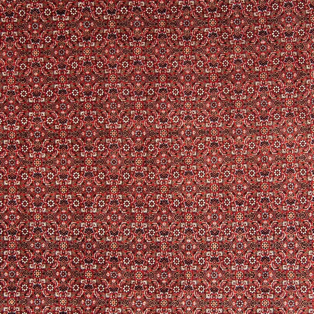 Tappeto Persero - Bidjar - 330 x 246 cm - rosso