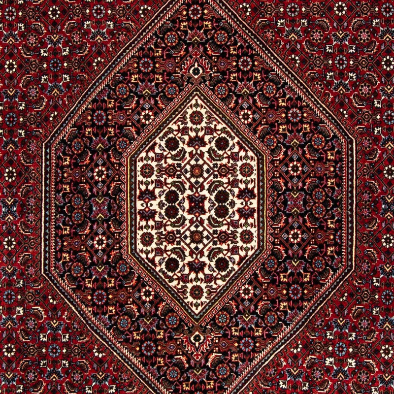 Tappeto Persero - Bidjar - 248 x 148 cm - rosso scuro