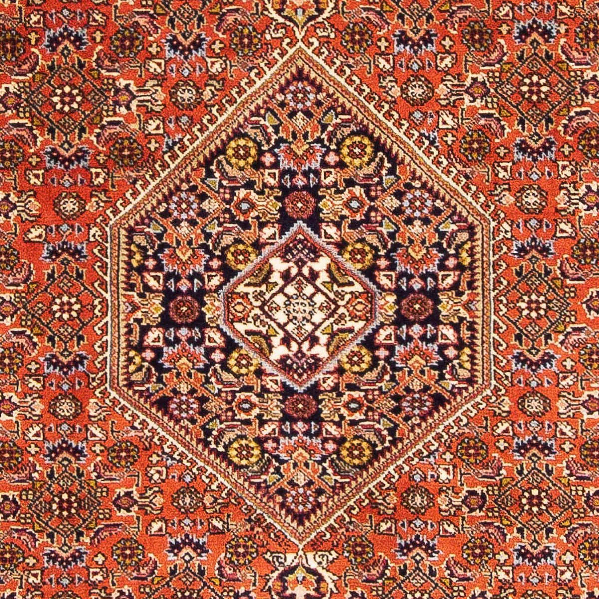 Tappeto Persero - Bidjar - 162 x 106 cm - rosa