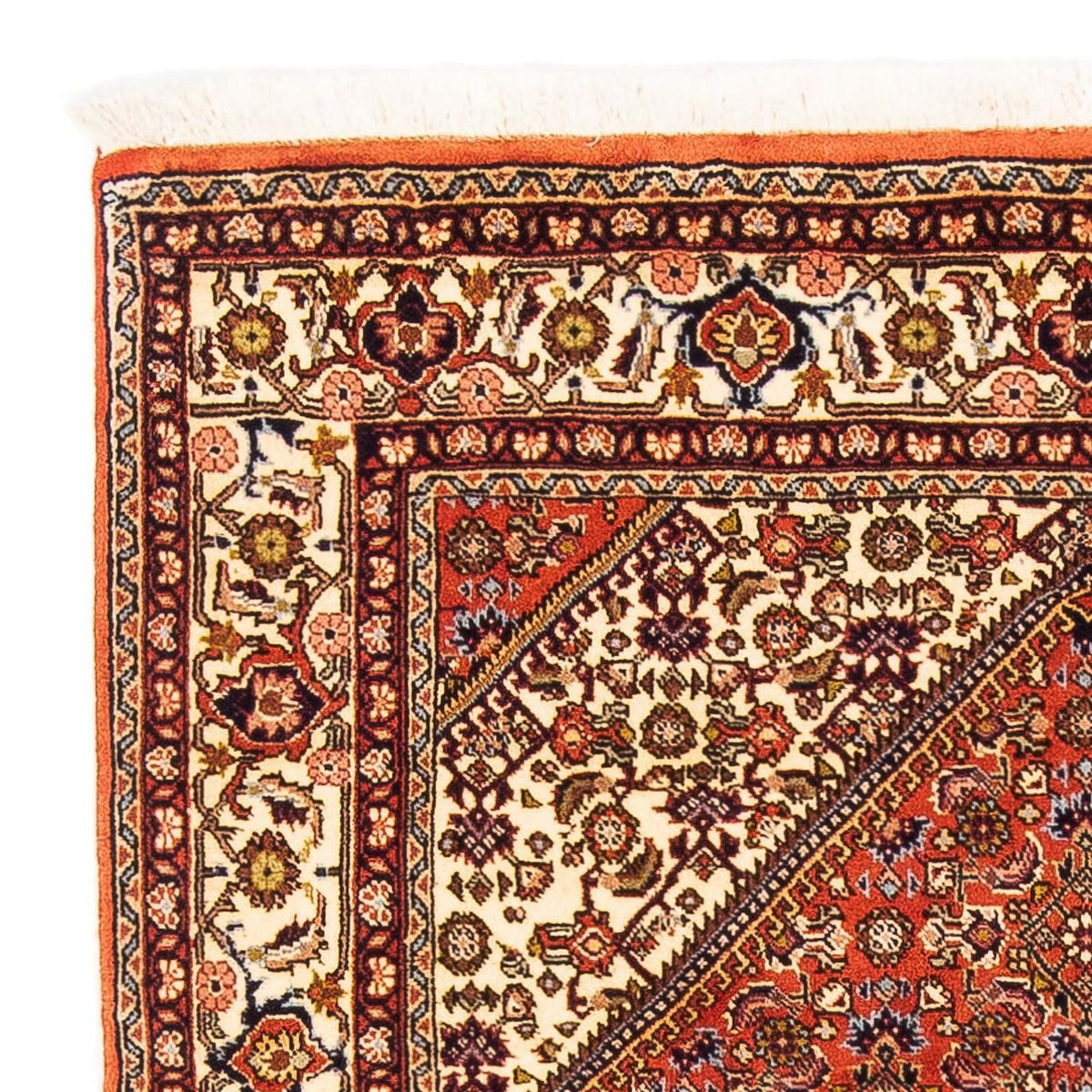 Tappeto Persero - Bidjar - 162 x 106 cm - rosa