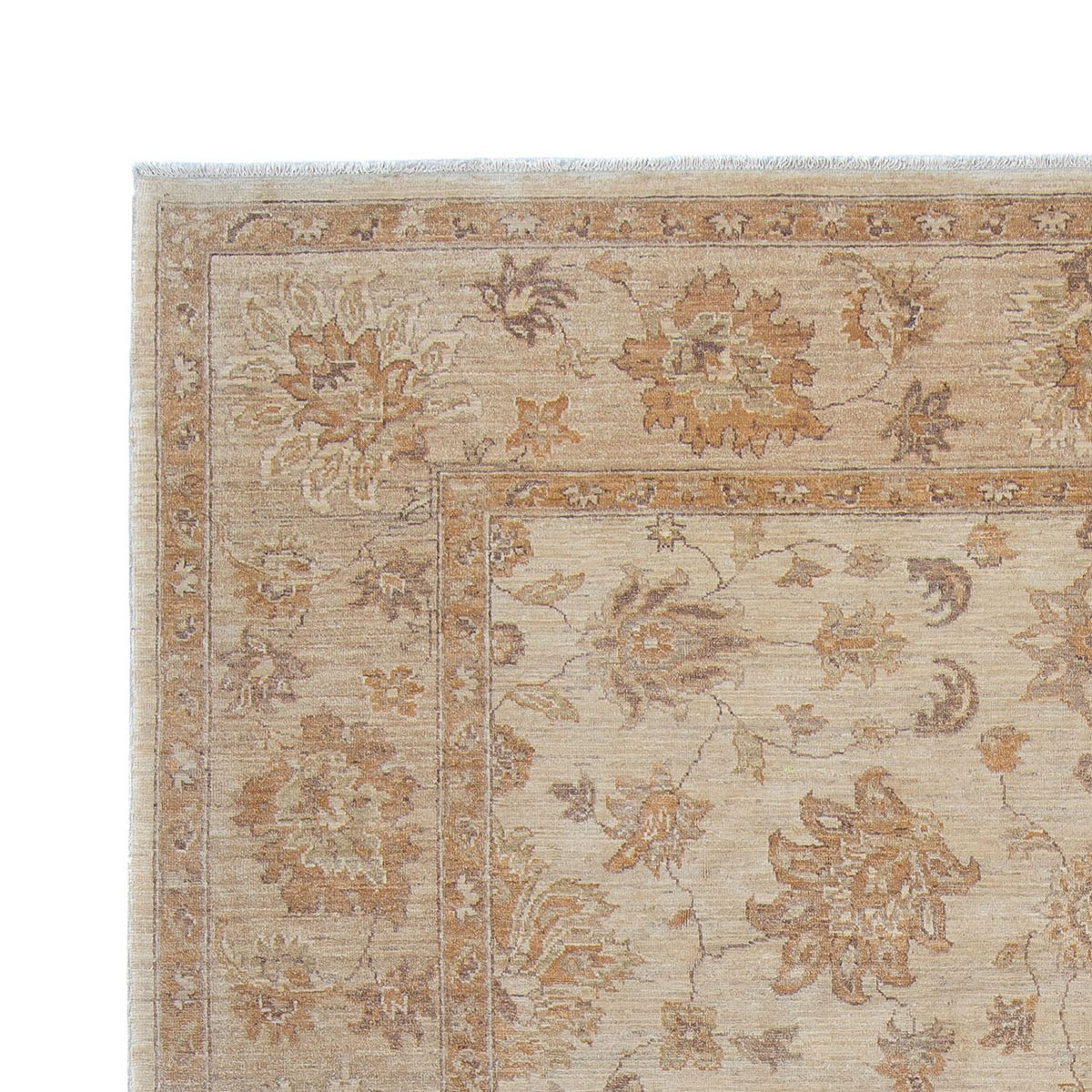 Tappeto Ziegler - 337 x 249 cm - beige chiaro
