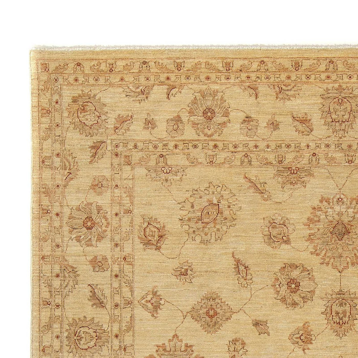 Tappeto Ziegler - 306 x 250 cm - marrone chiaro