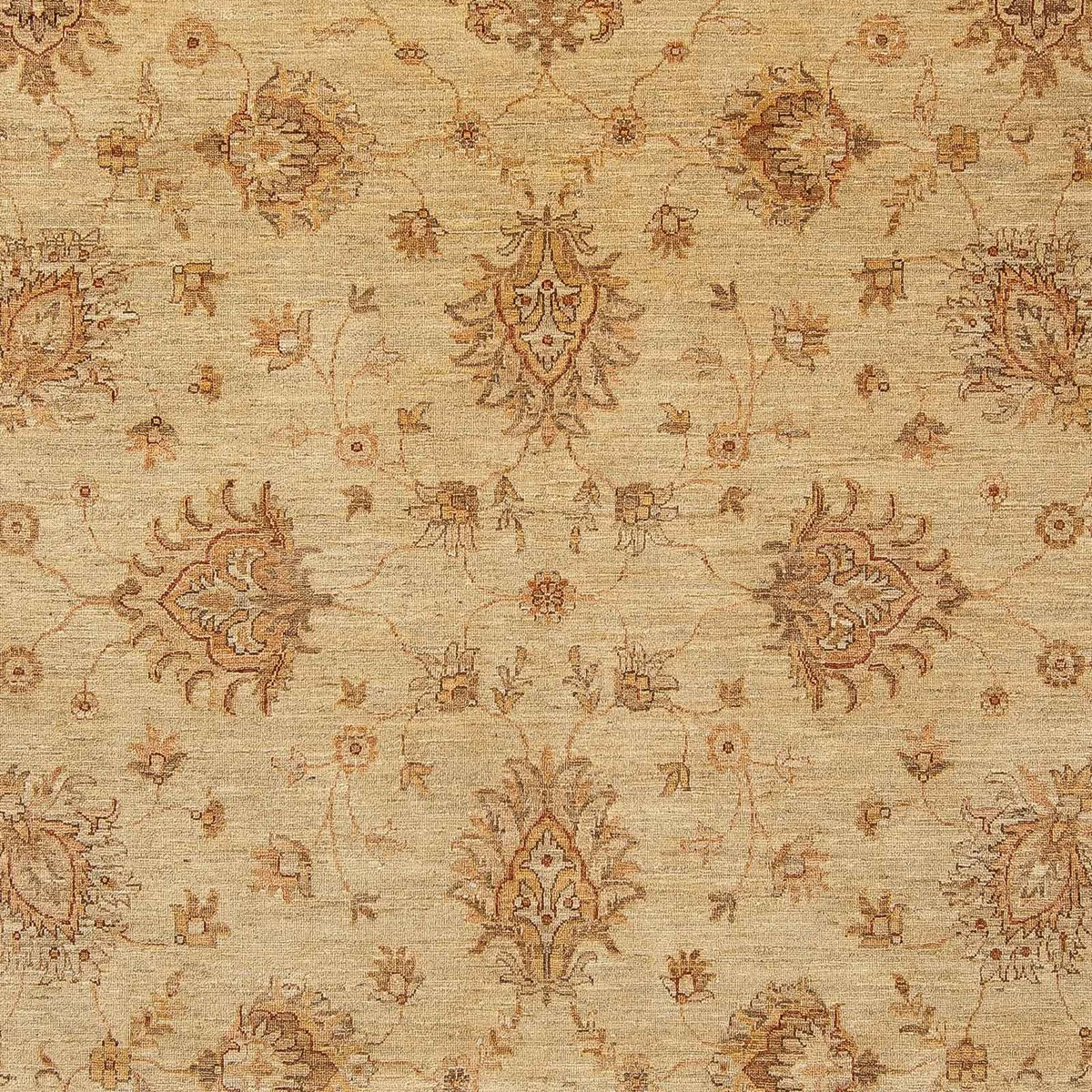 Tappeto Ziegler - 293 x 244 cm - marrone chiaro
