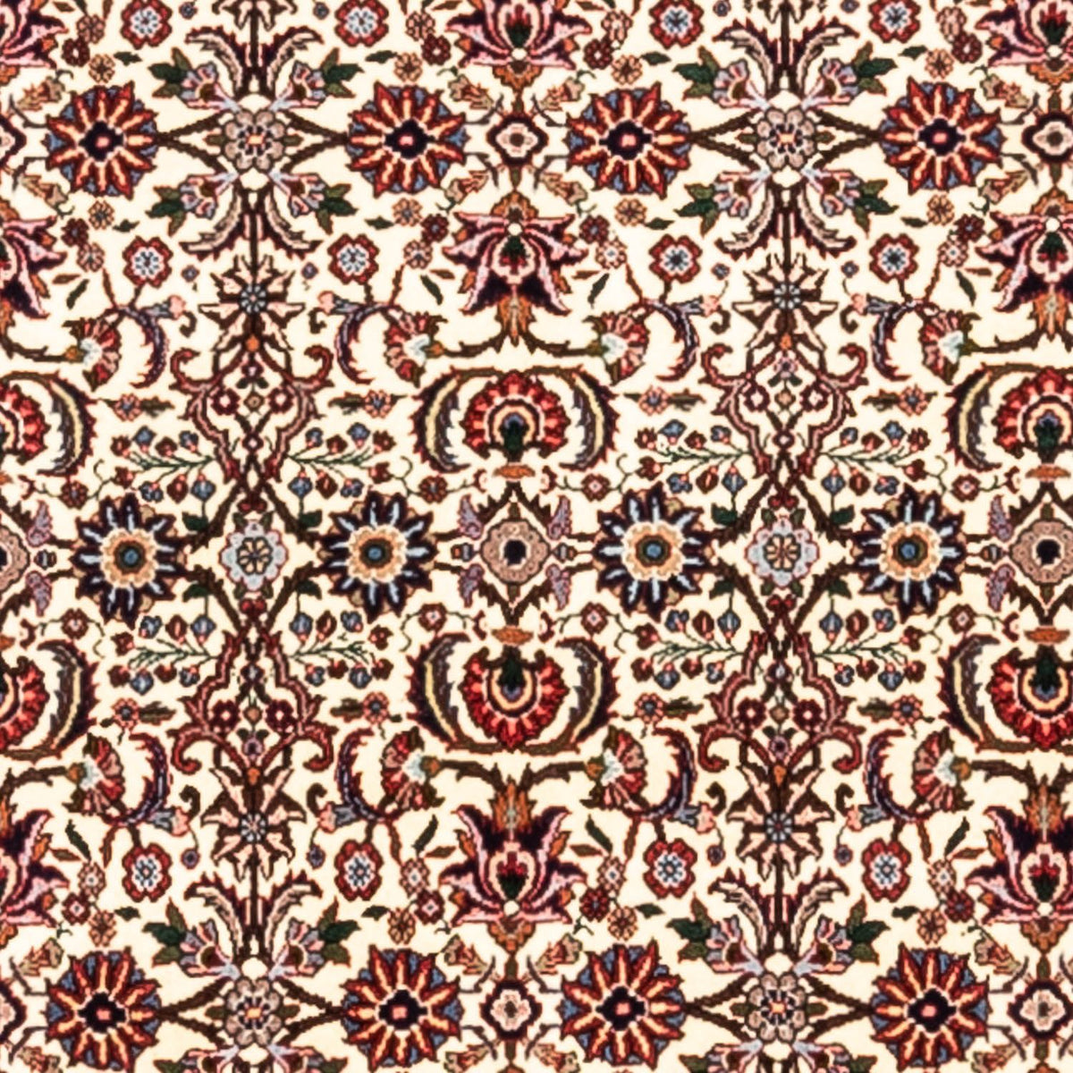 Tappeto Persero - Bidjar - 300 x 201 cm - beige