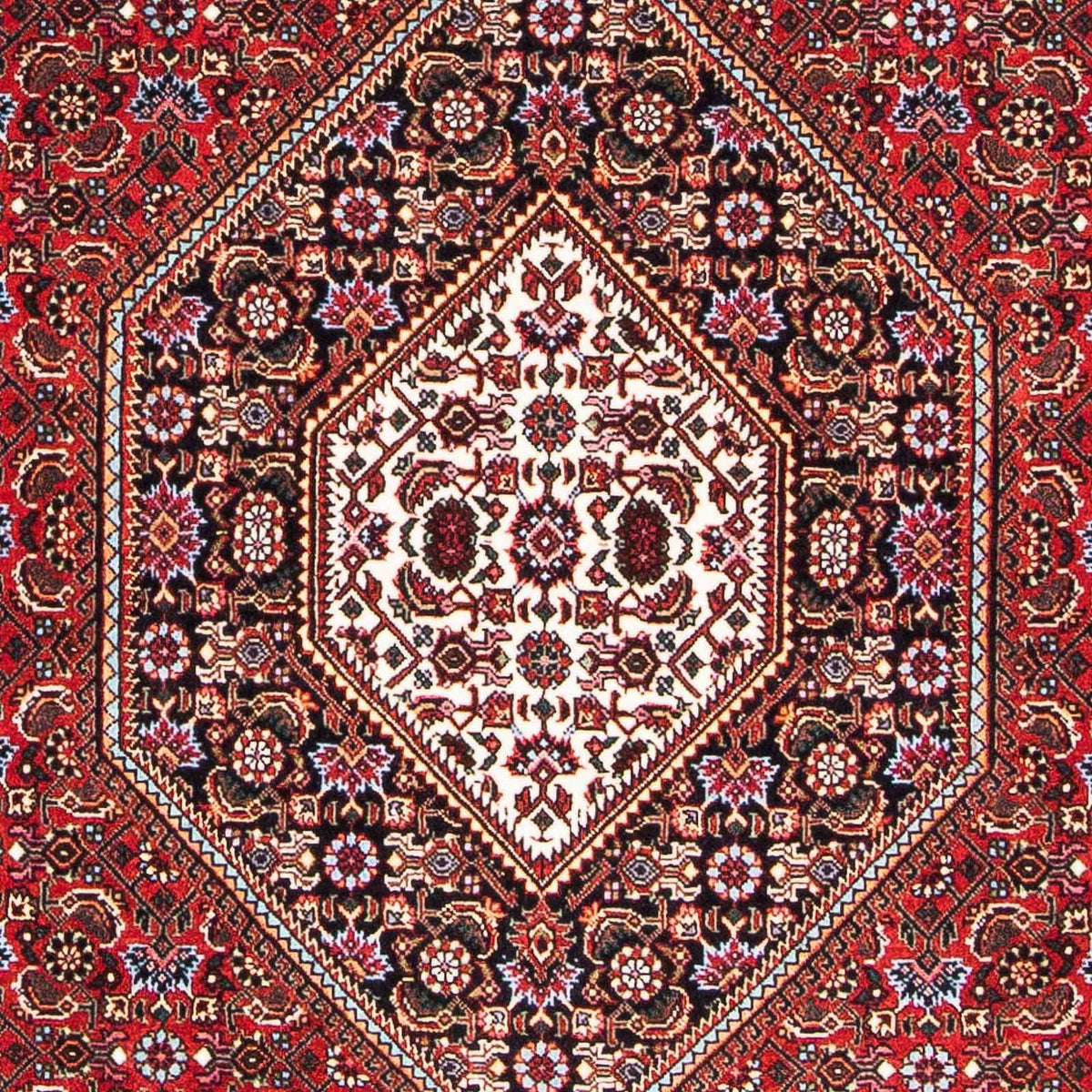 Tappeto Persero - Bidjar - 181 x 111 cm - rosso