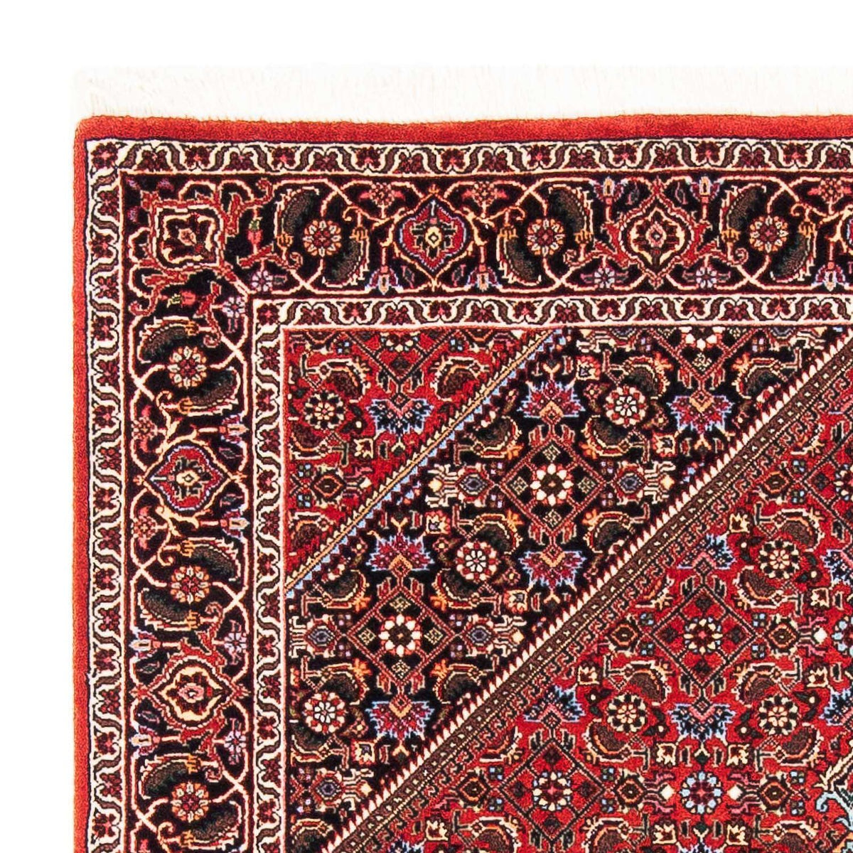 Tappeto Persero - Bidjar - 181 x 111 cm - rosso