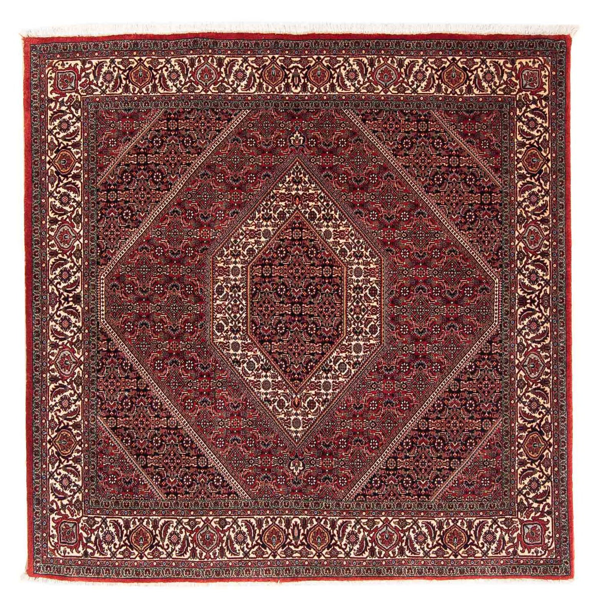 Tappeto Persero - Bidjar quadrato - 152 x 148 cm - rosso scuro