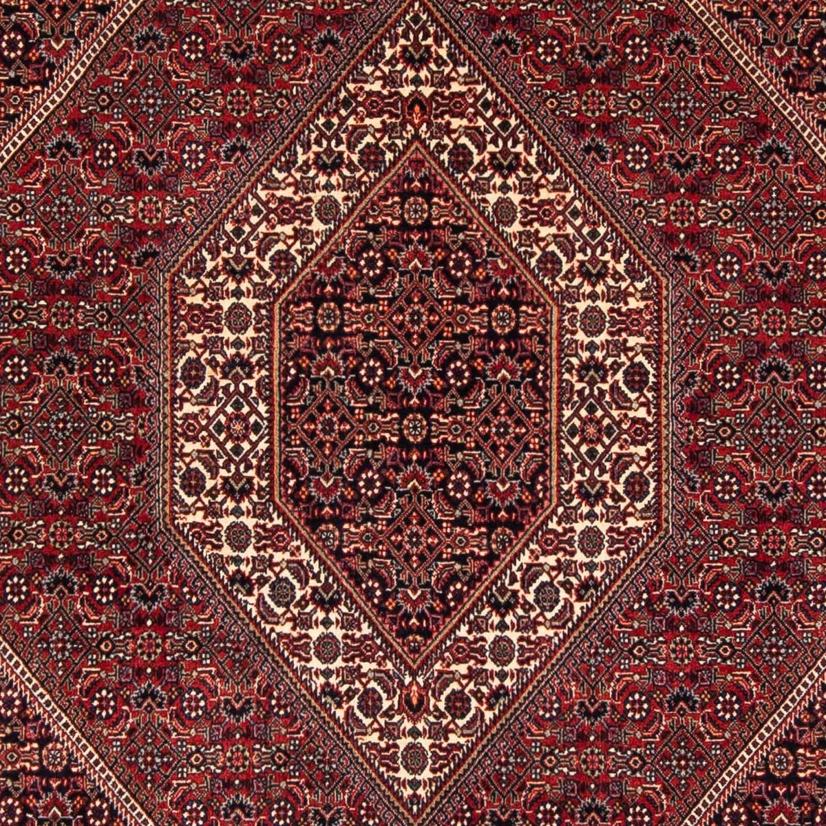 Tappeto Persero - Bidjar quadrato - 152 x 148 cm - rosso scuro