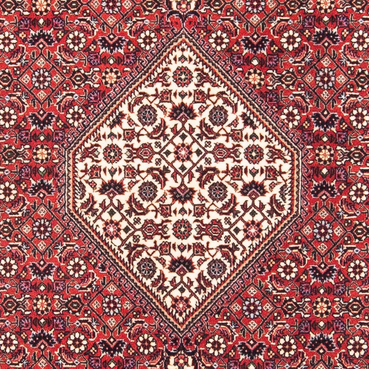 Tappeto Persero - Bidjar quadrato - 115 x 101 cm - rosso