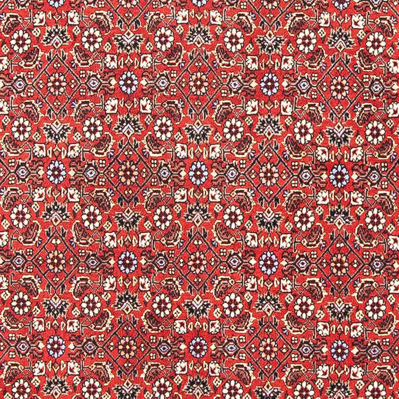 Tappeto Persero - Bidjar quadrato  - 98 x 97 cm - rosso