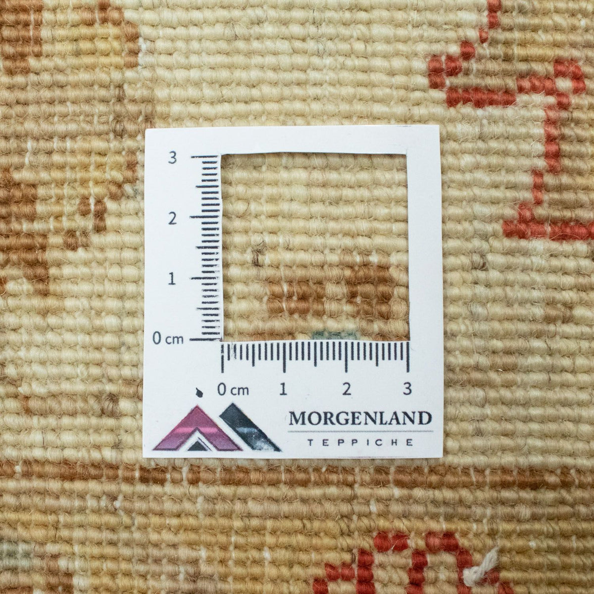 Tappeto Ziegler - 200 x 150 cm - beige