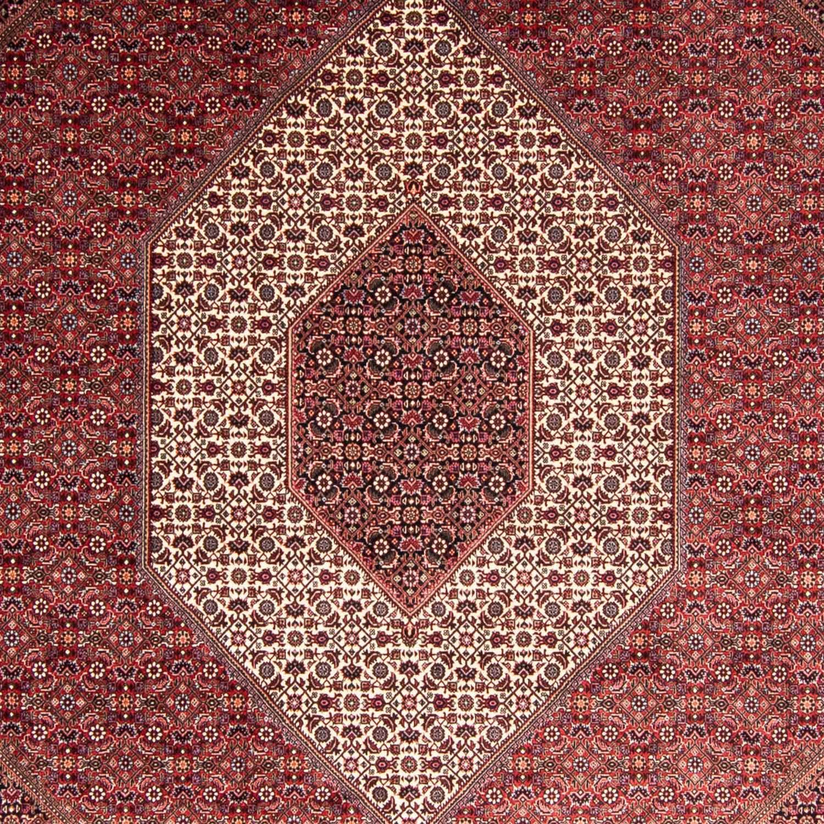Tappeto Persero - Bidjar - 344 x 254 cm - rosso chiaro