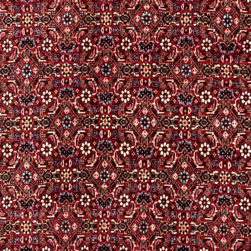 Tappeto Persero - Bidjar - 343 x 251 cm - rosso
